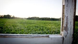 a green field viewed through an old and weather-beaten window frame